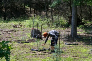2012-04-08-34-Egg Hunt.jpg